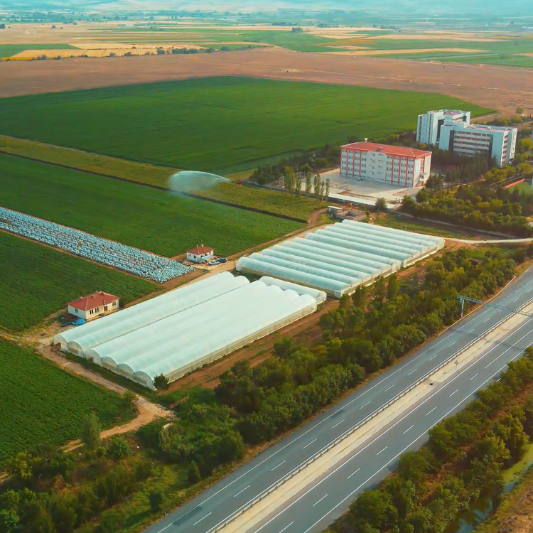 İlpan Tarım Panko Birlik Ilgın Akşehir